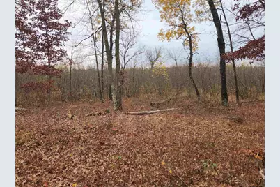 521 Cottonville Avenue, Friendship, WI 53934 - Photo 9