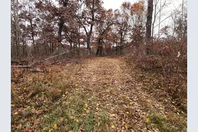 521 Cottonville Avenue, Friendship, WI 53934 - Photo 21