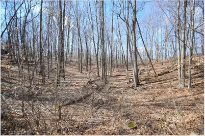 8160 Waldora Road, Siren, WI 54872 - Photo 35