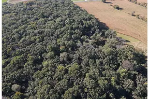 E8403 State Road 85, Mondovi, WI 54755 - Photo 63