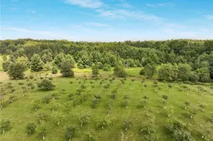 12558 W Twin Lake Rd, Hayward, WI 54843 - Photo 75