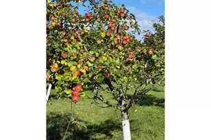 12558 W Twin Lake Rd, Hayward, WI 54843 - Photo 69