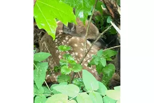 202 2nd Ave, Frederic, WI 54837 - Photo 53