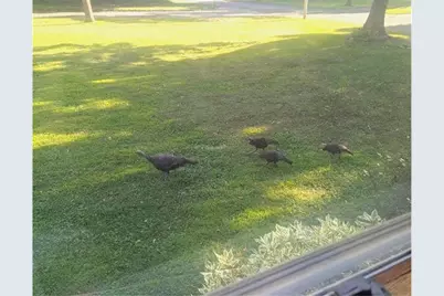 202 2nd Avenue, Frederic, WI 54837 - Photo 51