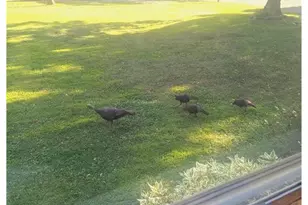 202 2nd Ave, Frederic, WI 54837 - Photo 51