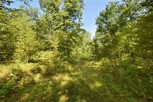 33227 State Road 35, Danbury, WI 54830 - Photo 33