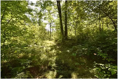 33227 State Road 35, Danbury, WI 54830 - Photo 35