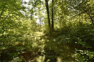 33227 State Road 35, Danbury, WI 54830 - Photo 35