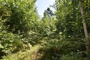 33227 State Road 35, Danbury, WI 54830 - Photo 37