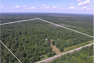 33227 State Road 35, Danbury, WI 54830 - Photo 3