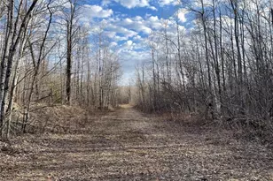 33227 State Road 35, Danbury, WI 54830 - Photo 45