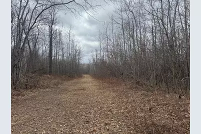 33227 State Road 35, Danbury, WI 54830 - Photo 43