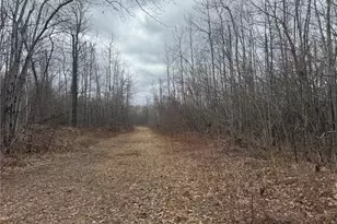 33227 State Road 35, Danbury, WI 54830 - Photo 43