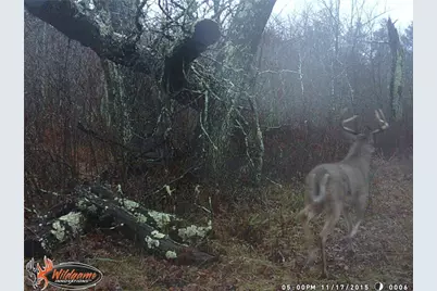 29031 French Road, Oakland, WI 54830 - Photo 31