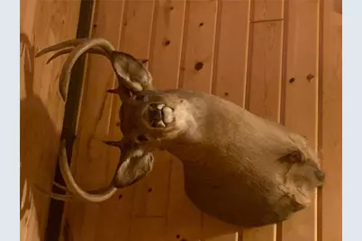 29031 French Road, Oakland, WI 54830 - Photo 35