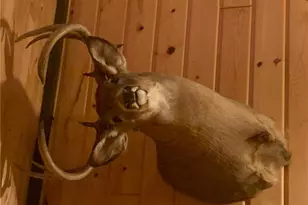 29031 French Rd, Oakland, WI 54830 - Photo 35