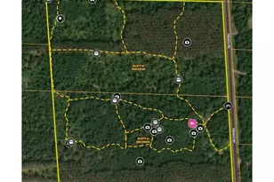 29031 French Rd, Oakland, WI 54830 - Photo 3