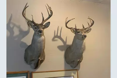 29031 French Road, Oakland, WI 54830 - Photo 33