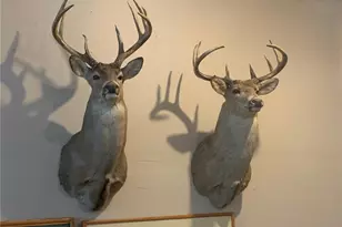 29031 French Rd, Oakland, WI 54830 - Photo 33