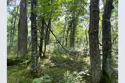 29031 French Road, Oakland, WI 54830 - Photo 21