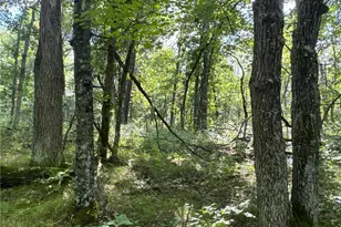 29031 French Rd, Oakland, WI 54830 - Photo 21