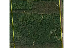 29031 French Rd, Oakland, WI 54830 - Photo 7