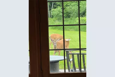 1449 3 1/2 Avenue, Dallas, WI 54733 - Photo 55