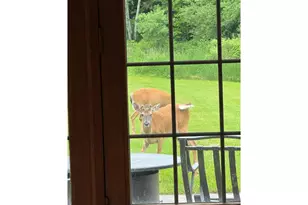 1449 3 1/2 Ave, Dallas, WI 54733 - Photo 55