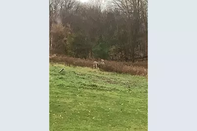 1449 3 1/2 Avenue, Dallas, WI 54733 - Photo 51