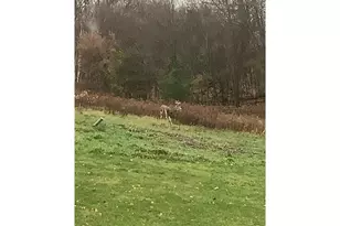 1449 3 1/2 Ave, Dallas, WI 54733 - Photo 51