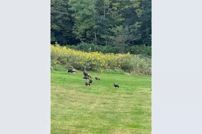 1449 3 1/2 Avenue, Dallas, WI 54733 - Photo 53