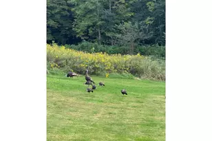 1449 3 1/2 Ave, Dallas, WI 54733 - Photo 53