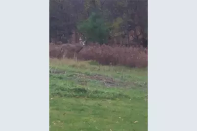 1449 3 1/2 Avenue, Dallas, WI 54733 - Photo 59