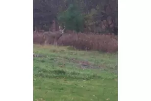 1449 3 1/2 Ave, Dallas, WI 54733 - Photo 59