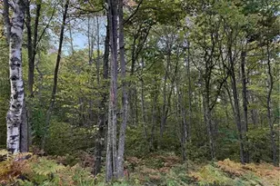 000 Old Hwy 2, Iron Ridge, WI 54847 - Photo 1