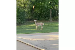 1224 US Hwy 12, Roberts, WI 54023 - Photo 59