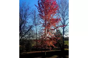 584 21 1/2 Ave, Cumberland, WI 54829 - Photo 33