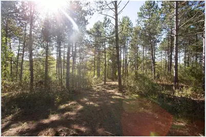 Lot 4 Nighthawk Drive, Somerset, WI 54025 - Photo 39