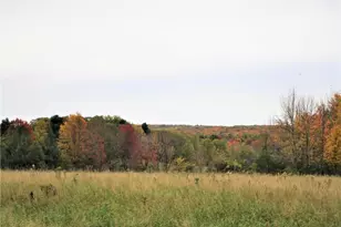 Parcel 4 90th St, Frederic, WI 54837 - Photo 1