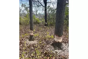 1089 65th Ave, Amery, WI 54001 - Photo 45