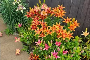 612 W Eau Claire St, Rice Lake, WI 54868 - Photo 27