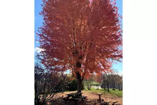 2146 84th Ave, Osceola, WI 54020 - Photo 31