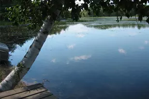 W8804 Deeper Lake Rd, Minong, WI 54859 - Photo 27