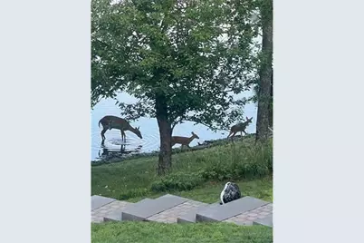 66895 Spider Lake Road, Iron Ridge, WI 54847 - Photo 41