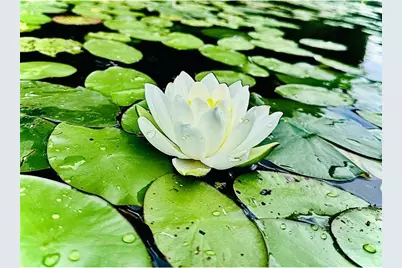 2473 27 1/2 Street, Rice Lake, WI 54868 - Photo 41