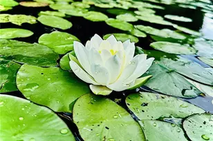 2473 27 1/2 St, Rice Lake, WI 54868 - Photo 41