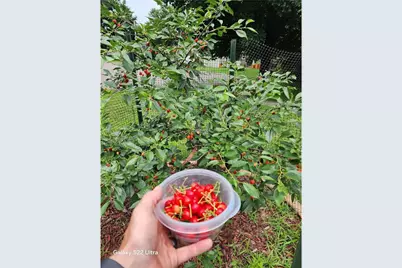 890 Maple Drive, Osceola, WI 54020 - Photo 33