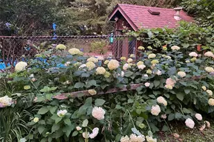 1632 Rivercrest Rd, Lakeland, MN 55043 - Photo 29