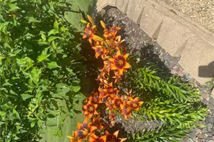 2061 10th Ave, Star Prairie, WI 54026 - Photo 41