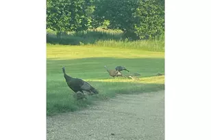 2061 10th Ave, Star Prairie, WI 54026 - Photo 47